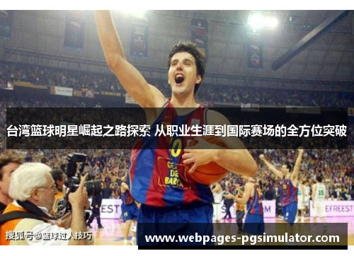 台湾篮球明星崛起之路探索 从职业生涯到国际赛场的全方位突破