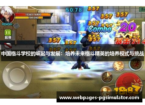 中国格斗学校的崛起与发展:培养未来格斗精英的培养模式与挑战