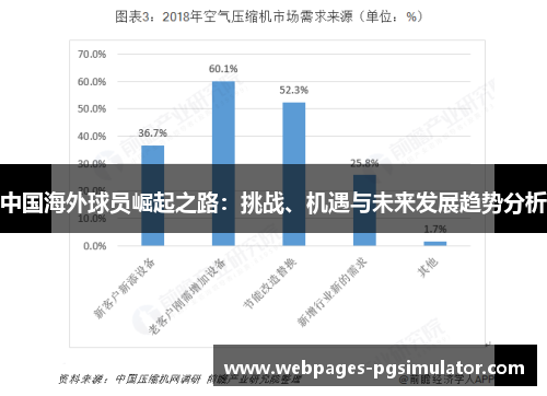 中国海外球员崛起之路:挑战、机遇与未来发展趋势分析