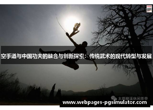 空手道与中国功夫的融合与创新探索:传统武术的现代转型与发展
