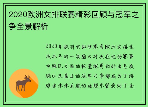 2020欧洲女排联赛精彩回顾与冠军之争全景解析